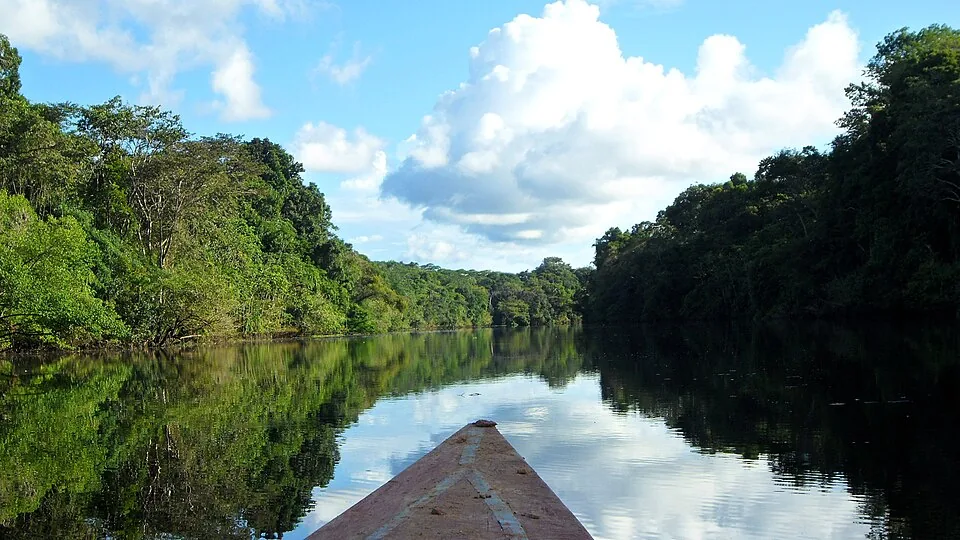 Paisaje de la Reserva Nacional Pacaya Samiria